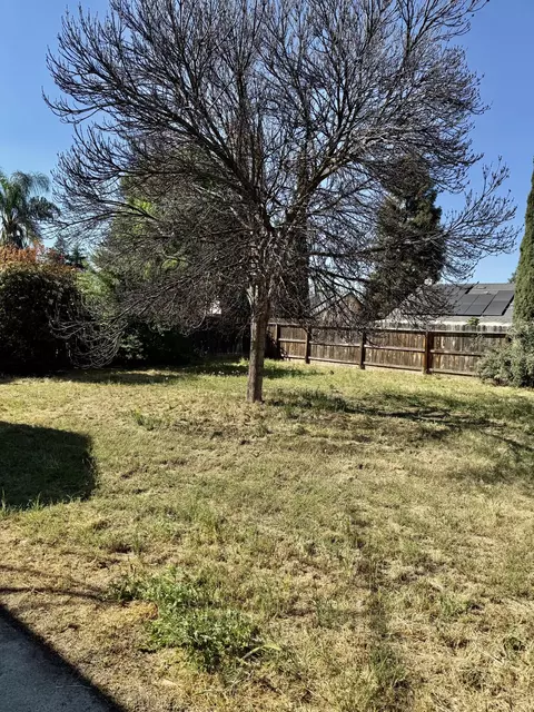 Exterior - 525 Cosart, Exeter, CA 93221 photo 3 of 7