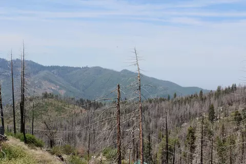 53184 Pine View Dr, Springville, CA 93265