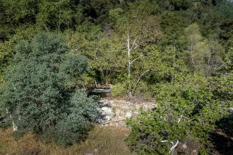 View/Area - 44335 North Frk, Three Rivers, CA 93271 photo 9 of 9