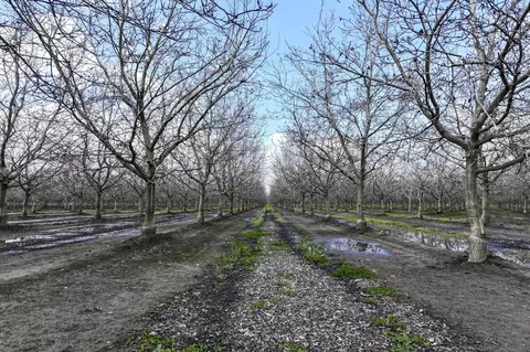 Other - Rd 180, Strathmore, CA 93267 photo 3 of 8