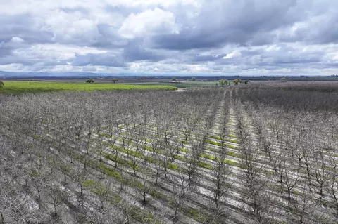 Other - Rd 180, Strathmore, CA 93267 photo 2 of 8