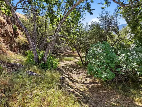 Exterior - 40716 Old Three Rivers Rd, Three Rivers, CA 93271 photo 24 of 24