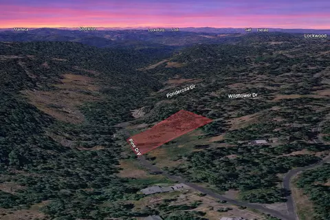 25700 Wildflower Dr, Pioneer, CA 95666