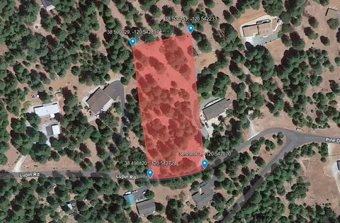 26041 Lupin Rd, Volcano, CA 95689 photo 7