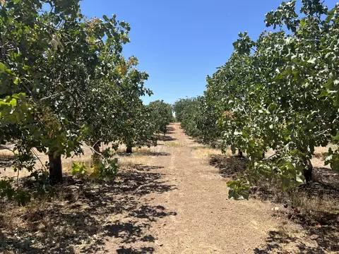 Road 27, Madera, CA 93638 photo 2