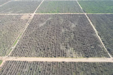 Road 27, Madera, CA 93638 photo 3