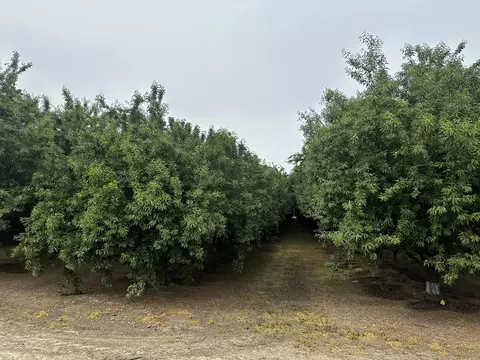 Grangeville Boulevard, Lemoore, CA 93245 photo 3