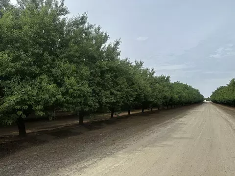 Grangeville Boulevard, Lemoore, CA 93245 photo 11