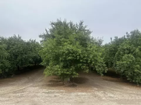 Grangeville Boulevard, Lemoore, CA 93245 photo 2