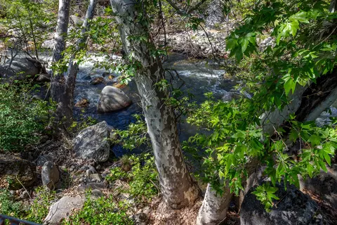 View/Area - 47993 N Fork Dr, Three Rivers, CA 93271 photo 8 of 8