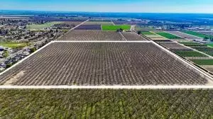 896 N Mariposa Ave, Visalia, CA 93292