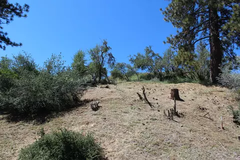 Exterior - 427 Sutherland, Springville, CA 93265 photo 10 of 17