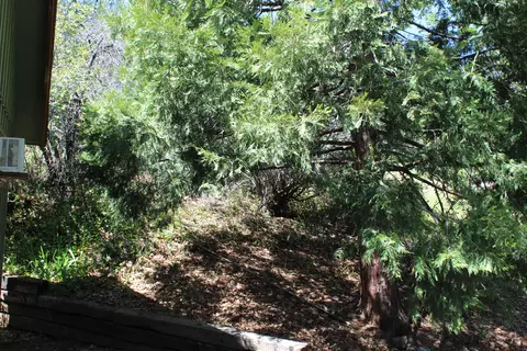Exterior - 427 Sutherland, Springville, CA 93265 photo 6 of 17