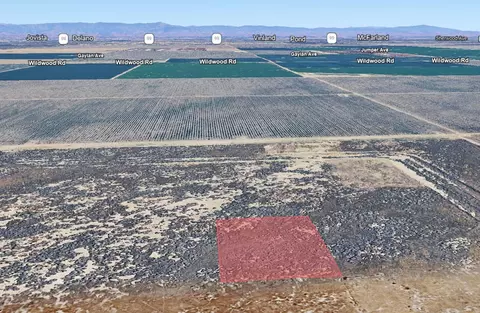 Rowlee Road, Wasco, CA 93280 photo 6