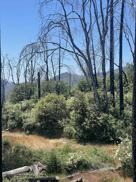Highway 190, Cedar Slope, CA 93265 photo 6