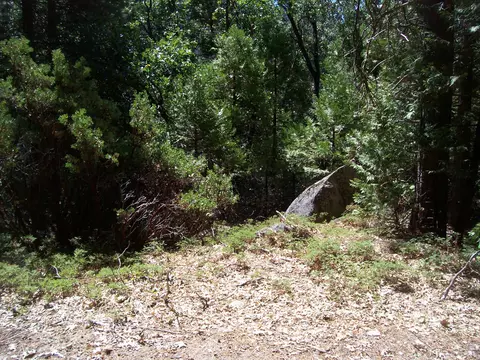 Highway 190, Cedar Slope, CA 93265