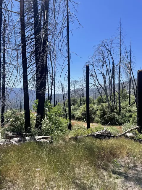 Highway 190, Cedar Slope, CA 93265 photo 8