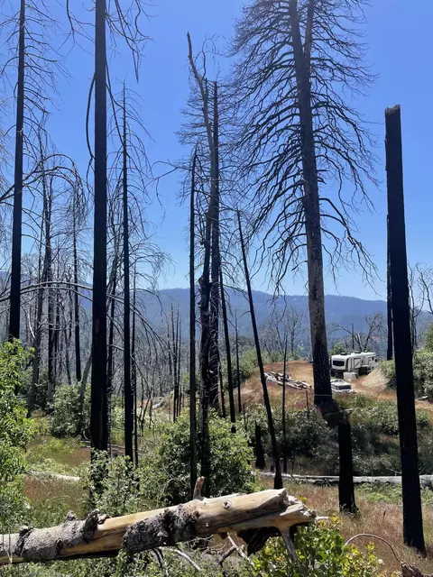 Highway 190, Cedar Slope, CA 93265