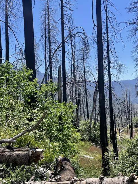 Highway 190, Cedar Slope, CA 93265 photo 7