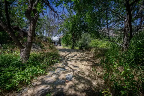 41518 Sierra Dr, Three Rivers, CA 93271 photo 8