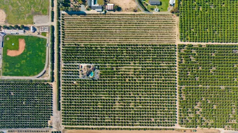 1435 E Palm Dr, Exeter, CA 93221 photo 13