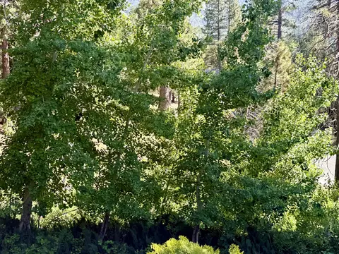 Other - 1207 Pine Haven Ct, Springville, CA 93265 photo 5 of 6