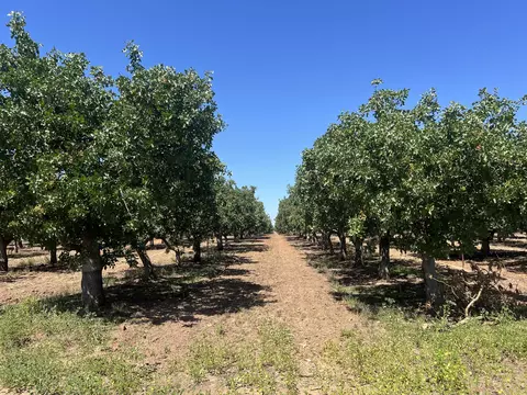 Avenue 20 1/2, Madera, CA 93638 photo 3