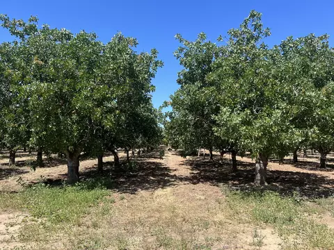 Avenue 20 1/2, Madera, CA 93638 photo 5