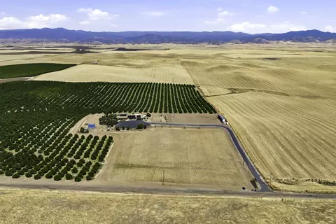 View/Area - 4015 Road 256, Ducor, CA 93218 photo 2 of 4