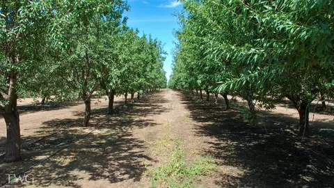 Rd 26, Chowchilla, CA 93610 photo 12