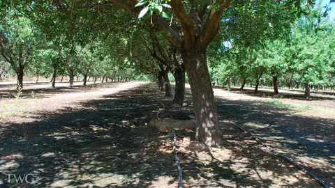 Rd 26, Chowchilla, CA 93610 photo 14