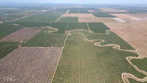Rd 26, Chowchilla, CA 93610 photo 2