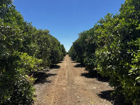 Other - Road 164, Ivanhoe, CA 93235 photo 6 of 9