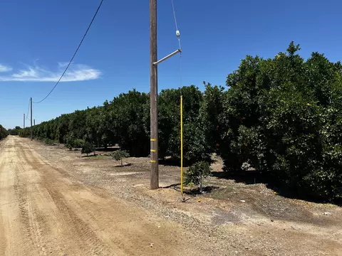 Other - Road 164, Ivanhoe, CA 93235 photo 3 of 9