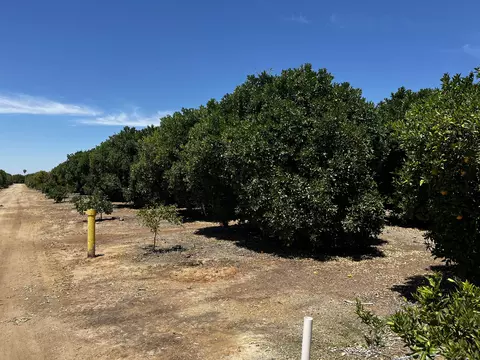 Exterior - Road 164, Ivanhoe, CA 93235 photo 1 of 3