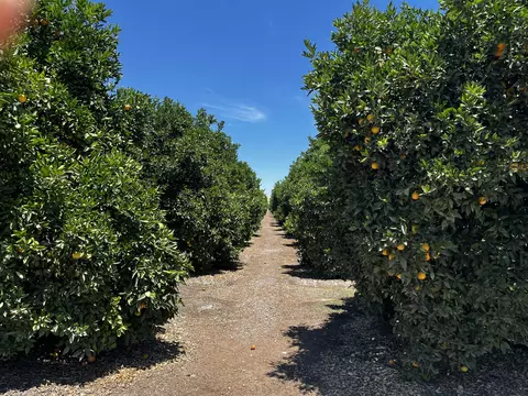 Other - Road 164, Ivanhoe, CA 93235 photo 2 of 9