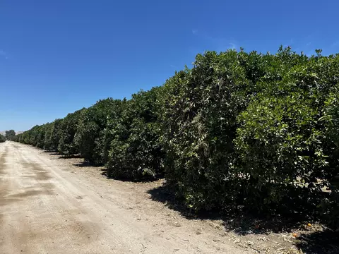 Other - Road 164, Ivanhoe, CA 93235 photo 5 of 9