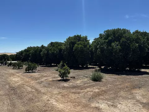 Other - Road 164, Ivanhoe, CA 93235 photo 4 of 9