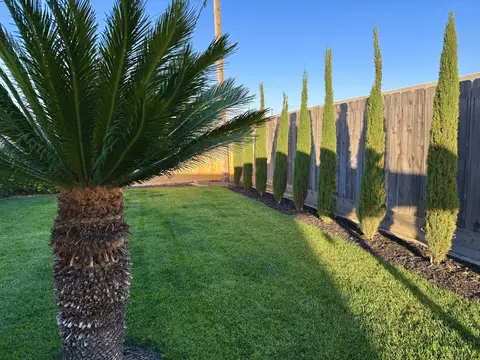 Exterior - 3113 E Laurel Ave, Visalia, CA 93292 photo 4 of 20