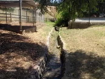 Other - 35228 Lenard Rd, Springville, CA 93265 photo 8 of 8