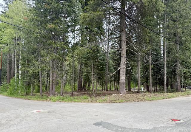 Ponderosa Drive, Springville, CA 93265