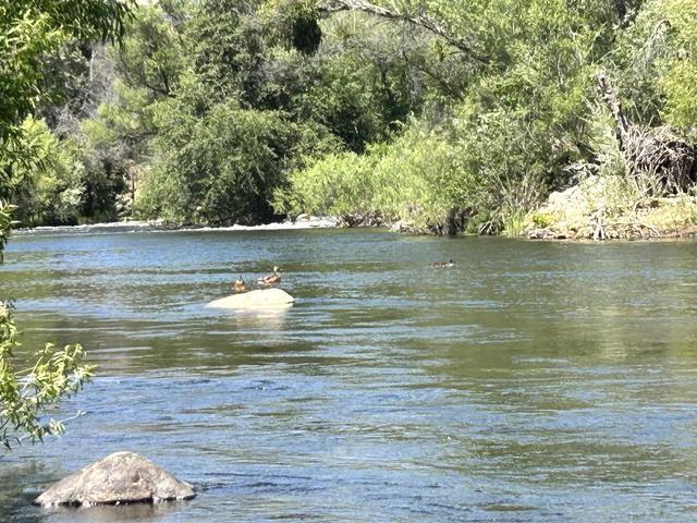 42001 N Fork Dr, Three Rivers, CA 93271