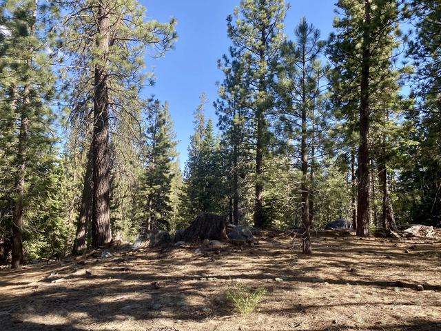 57600 Crest Dr, Springville, CA 93265