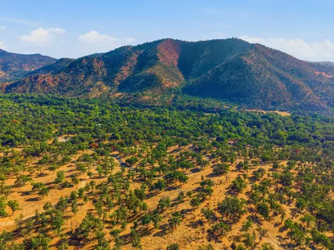 Redbud Trail, Three Rivers, CA 93271 photo 9