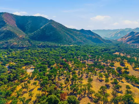 Redbud Trail, Three Rivers, CA 93271 photo 8