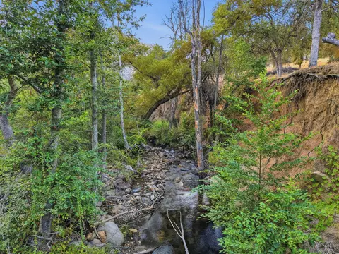Redbud Trail, Three Rivers, CA 93271 photo 3