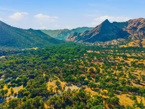 Redbud Trail, Three Rivers, CA 93271 photo 11