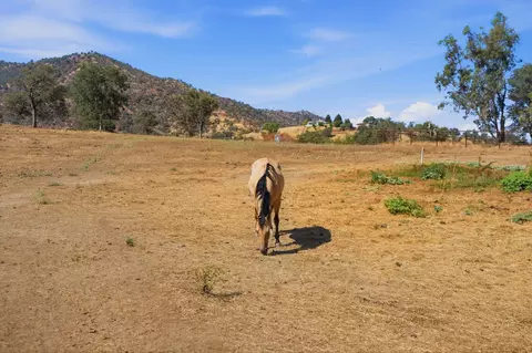 0 Old Three Rivers Rd, Three Rivers, CA 93271 photo 3