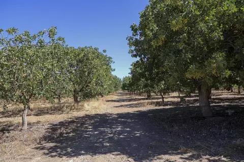 Road 20 1/2, Madera, CA 93637 photo 5