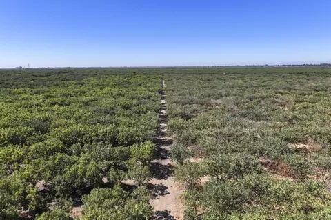 Road 20 1/2, Madera, CA 93637 photo 4